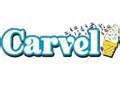 Carvel Ice Cream & Bakery